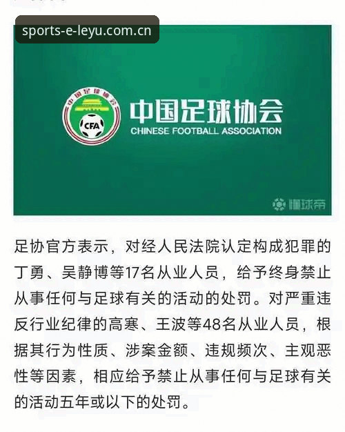 中国足协第三批禁足名单深度解析：从行业乱象看体育公正性指南